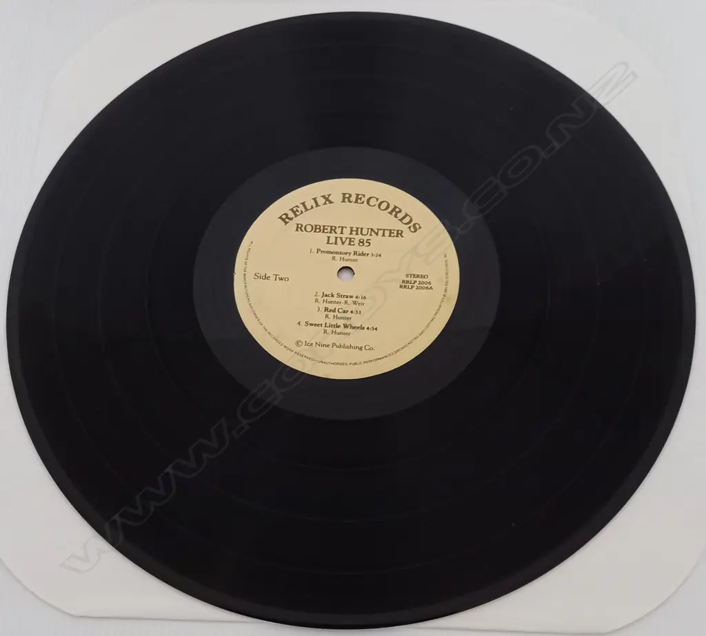 Robert Hunter, Live 85 Image 1++